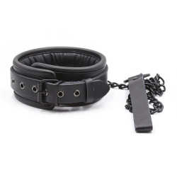 FUKR Collier Epais + Laisse